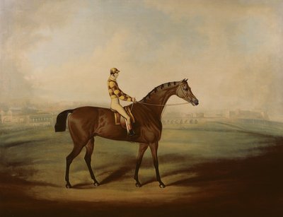 Portrait of Bruitandorf with Jockey Up and Chester Racecourse Beyond by Daniel Clowes